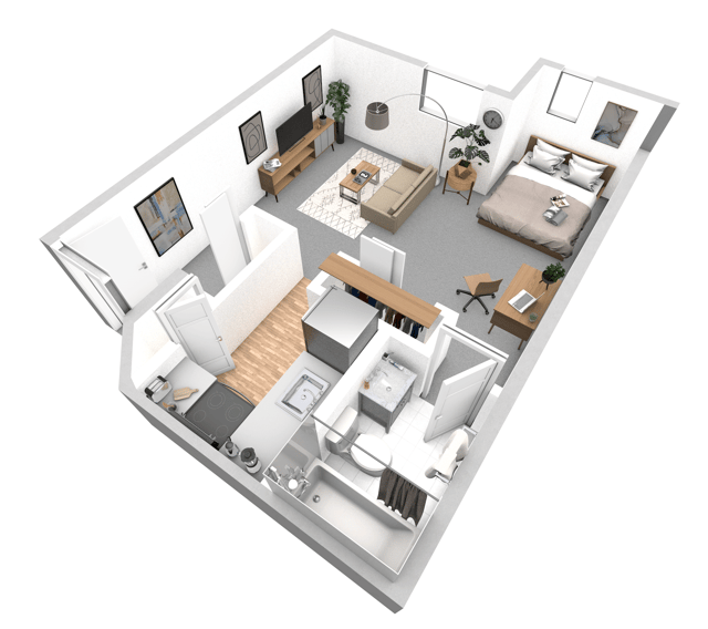 AtriumAtGainesville_RedMaple_474sqft