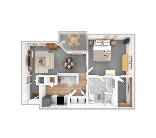 CHMK_American Elm_0004