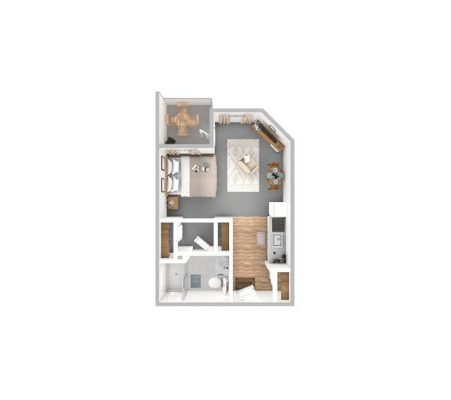 MNES_AmericanBeech_361-396sqft