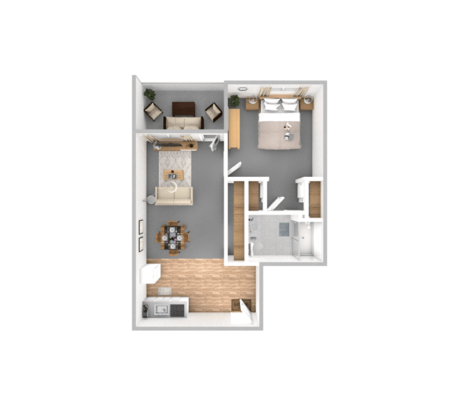 MNES_JapaneseMaple_542-706sqft