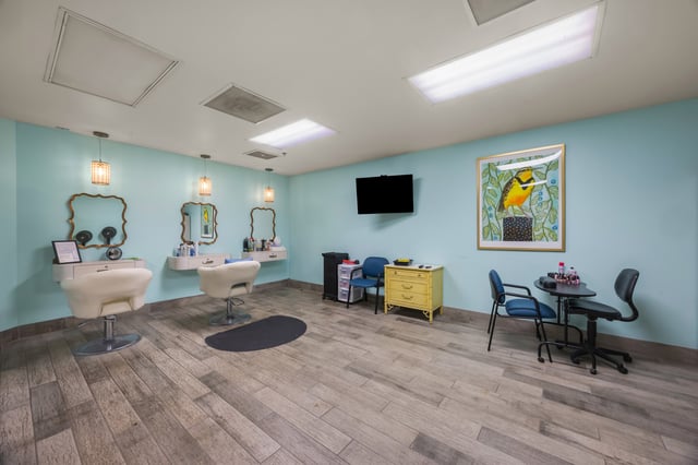 Salon-2